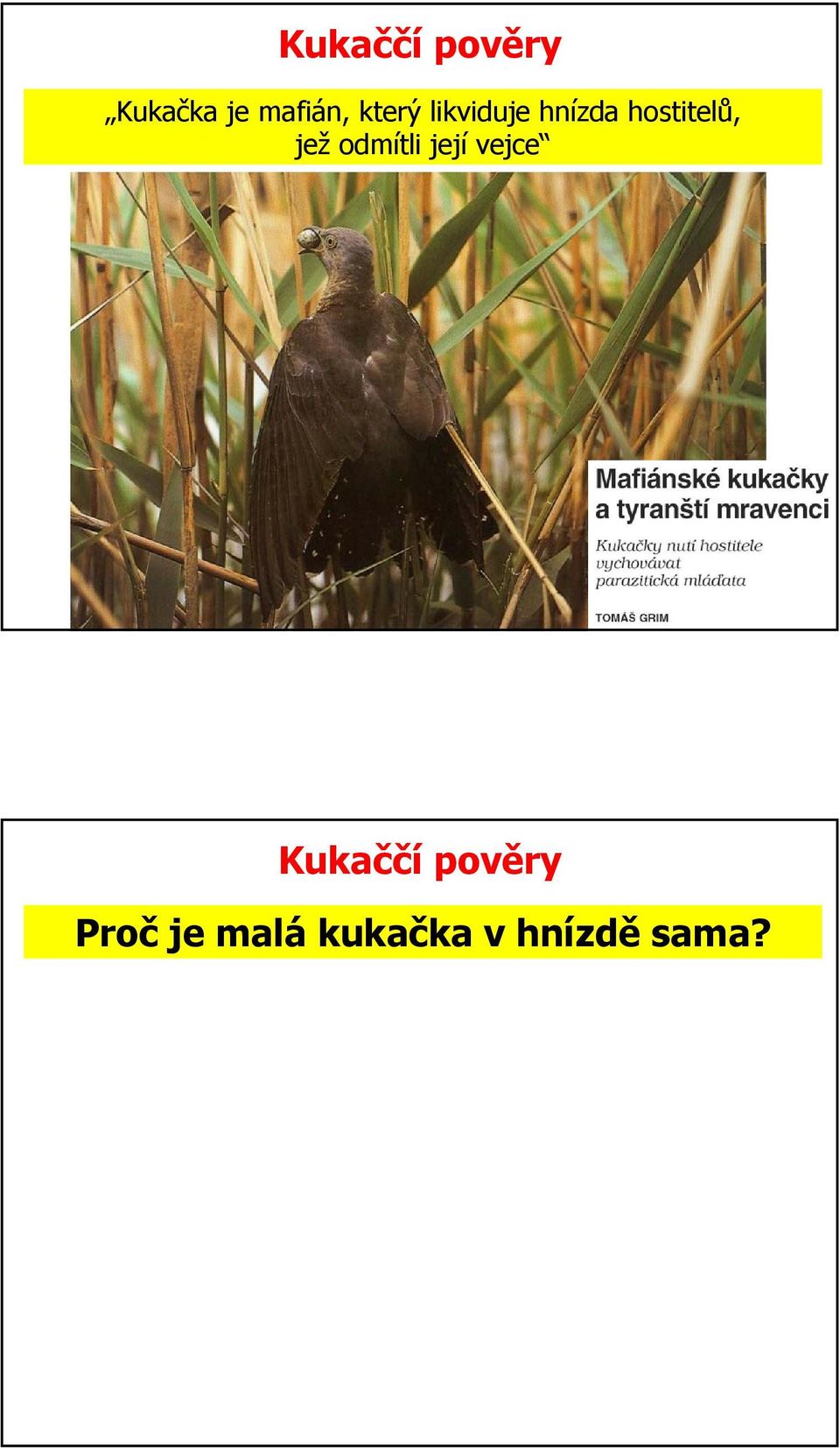 jež odmítli její vejce Kukaččí