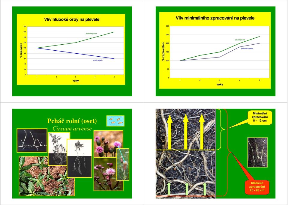 zaplevelení 2 15 1 jednoleté plevele 4 2 5 1 2 3 4 5 roky 1 2 3 4 5 roky Pcháč