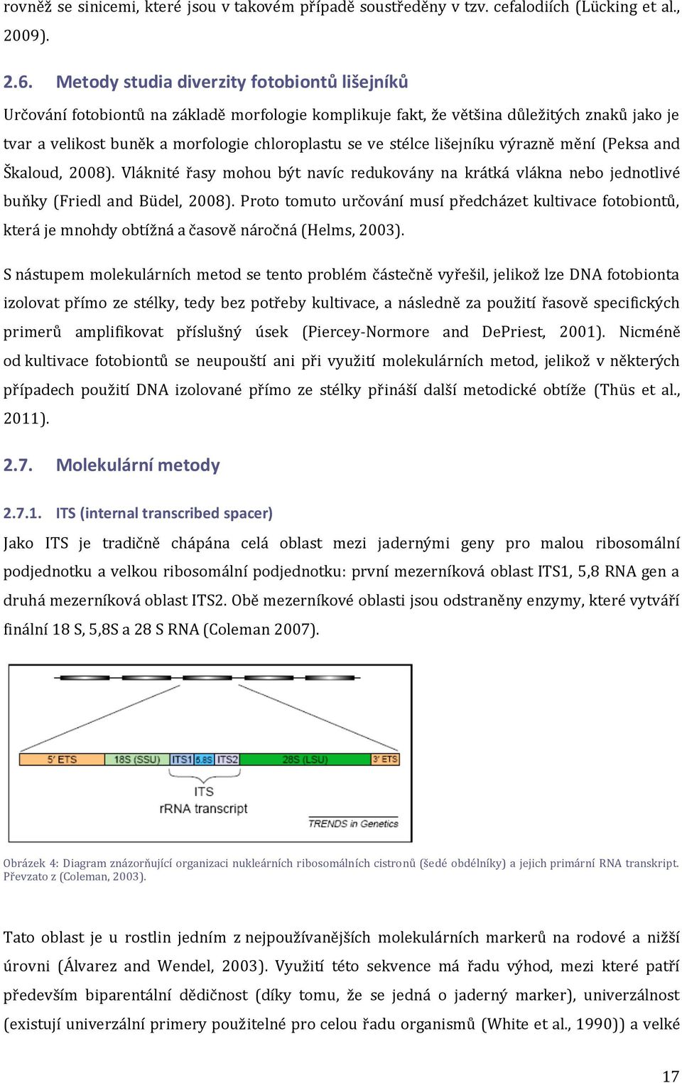 stélce lišejníku výrazně mění (Peksa and Škaloud, 2008). Vláknité řasy mohou být navíc redukovány na krátká vlákna nebo jednotlivé buňky (Friedl and Büdel, 2008).