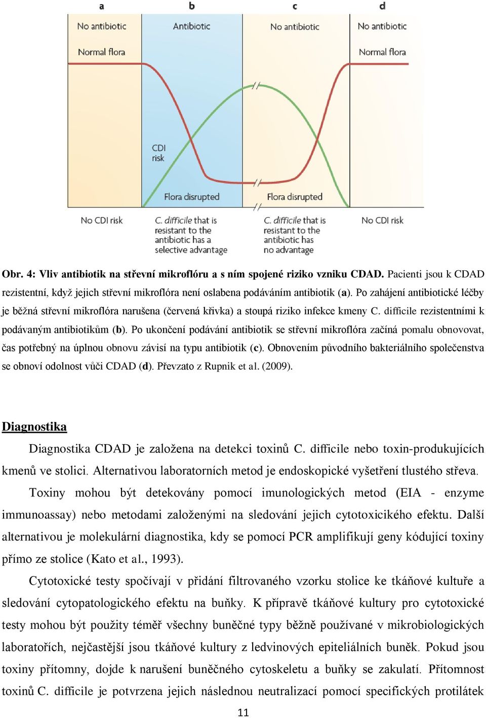 Po ukončení podávání antibiotik se střevní mikroflóra začíná pomalu obnovovat, čas potřebný na úplnou obnovu závisí na typu antibiotik (c).