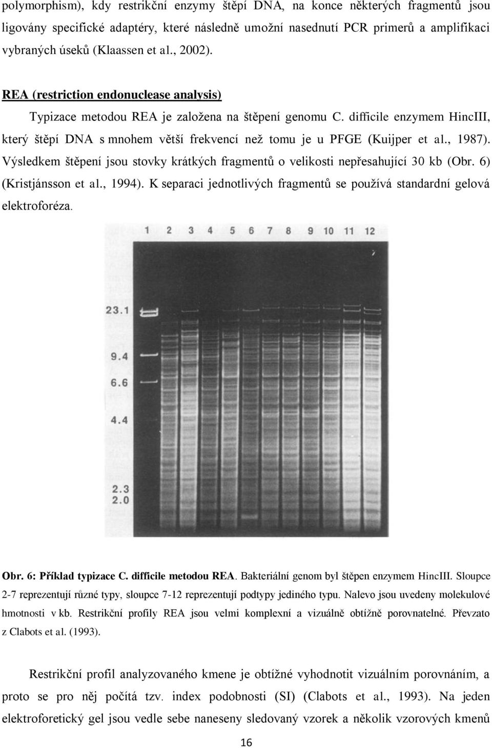 difficile enzymem HincIII, který štěpí DNA s mnohem větší frekvencí neţ tomu je u PFGE (Kuijper et al., 1987). Výsledkem štěpení jsou stovky krátkých fragmentů o velikosti nepřesahující 30 kb (Obr.