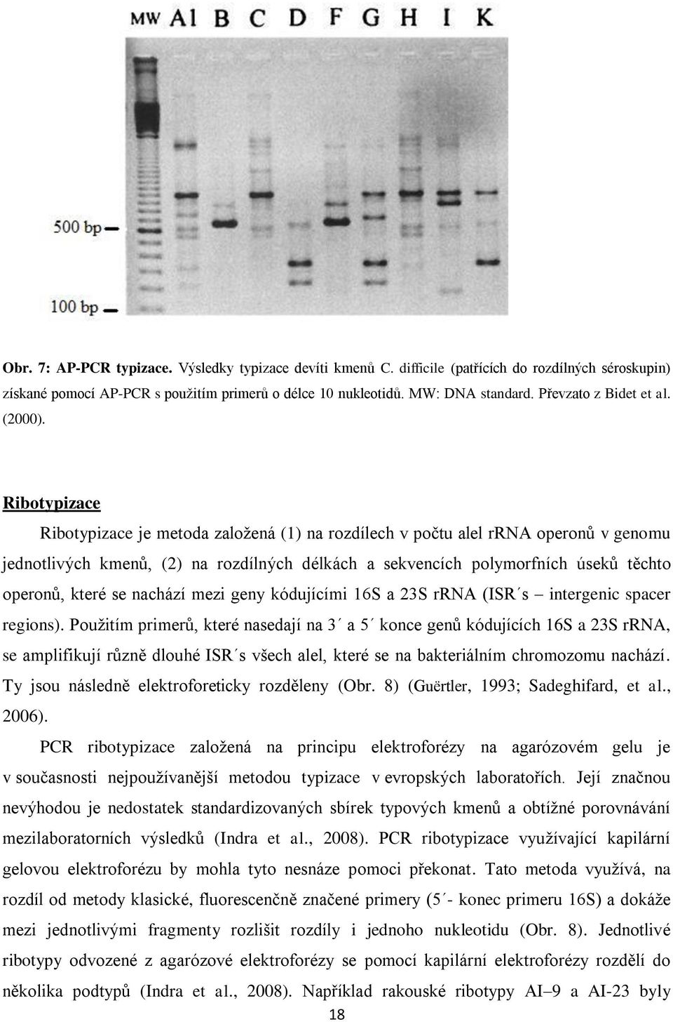 Ribotypizace Ribotypizace je metoda zaloţená (1) na rozdílech v počtu alel rrna operonů v genomu jednotlivých kmenů, (2) na rozdílných délkách a sekvencích polymorfních úseků těchto operonů, které se