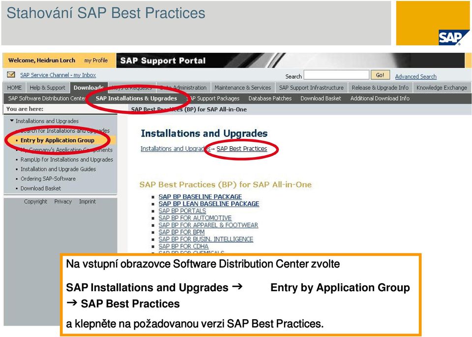 Entry by Application Group SAP Best Practices