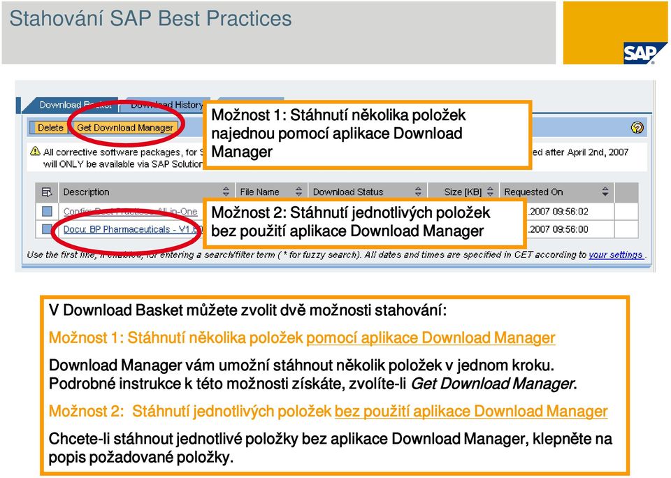 umožní stáhnout n kolik položek v jednom kroku. Podrobné instrukce k této možnosti získáte, zvolíte-li Get Download Manager.