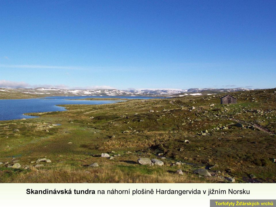 Hardangervida v jižním