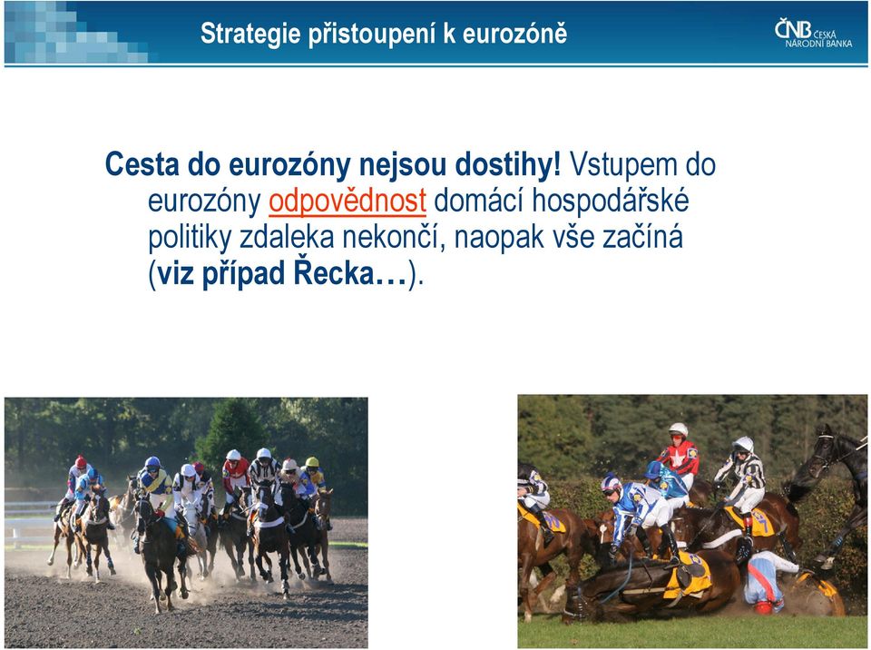 Vstupem do eurozóny odpovědnost domácí