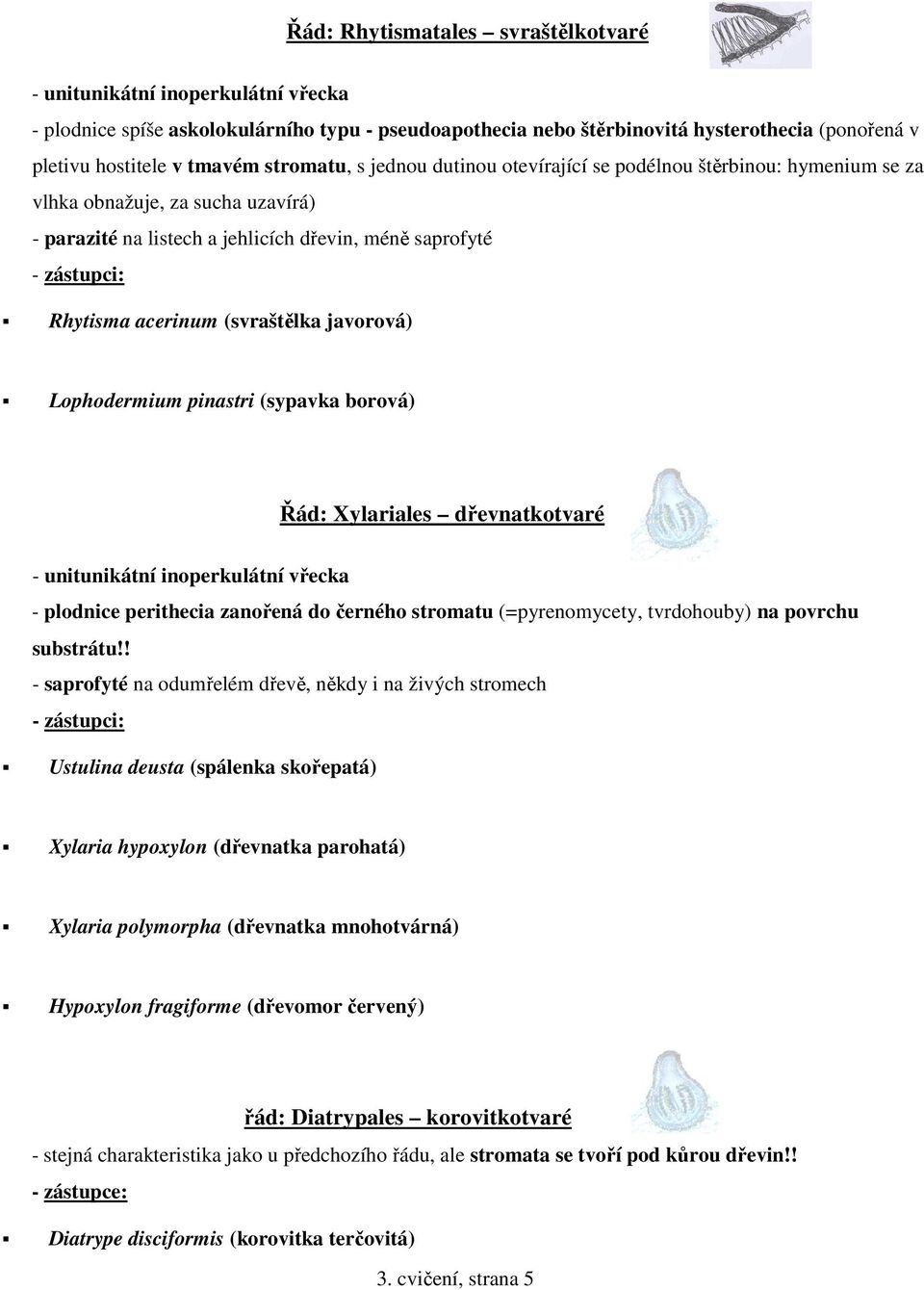 javorová) Lophodermium pinastri (sypavka borová) Řád: Xylariales dřevnatkotvaré - unitunikátní inoperkulátní vřecka - plodnice perithecia zanořená do černého stromatu (=pyrenomycety, tvrdohouby) na