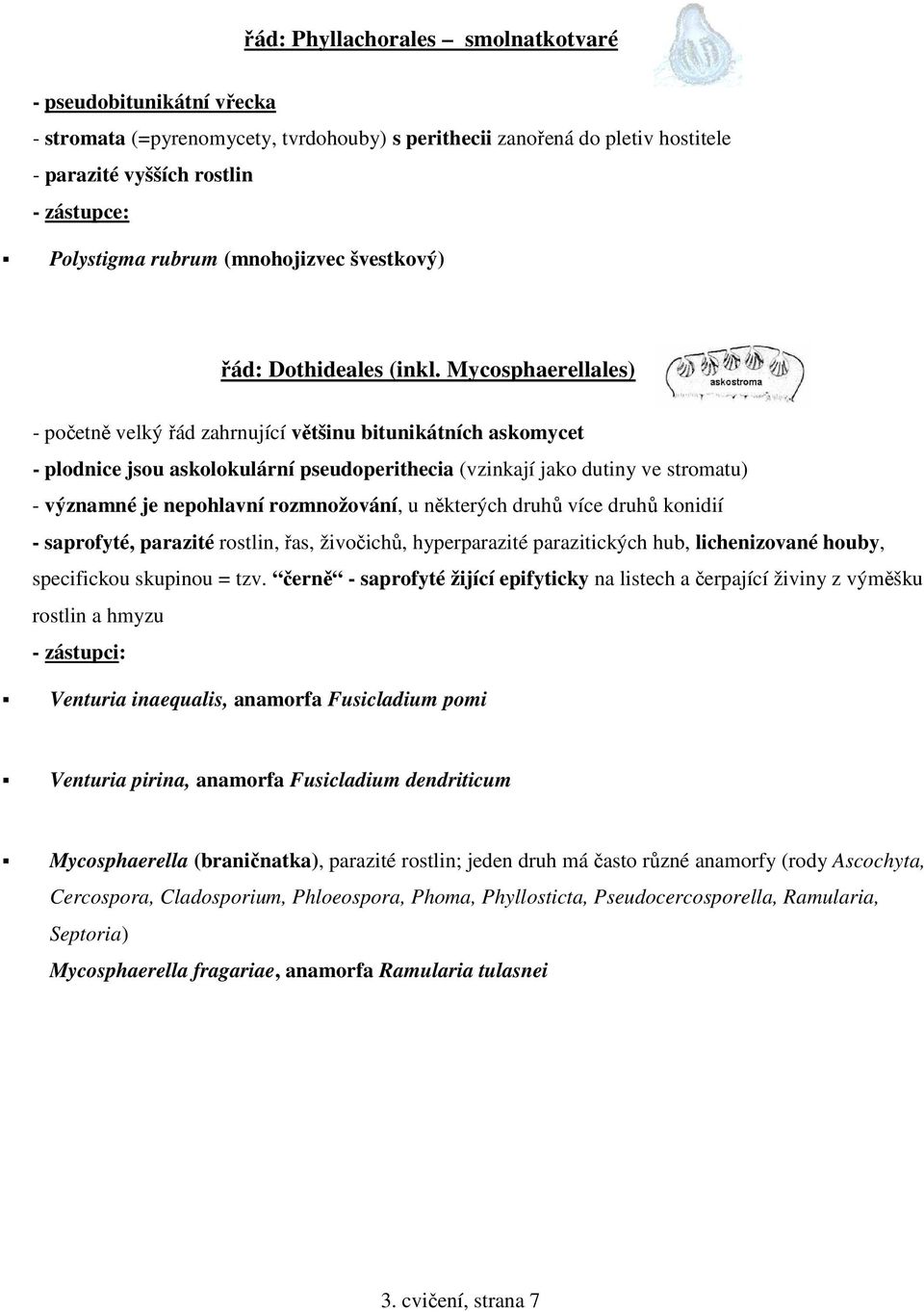 Mycosphaerellales) - početně velký řád zahrnující většinu bitunikátních askomycet - plodnice jsou askolokulární pseudoperithecia (vzinkají jako dutiny ve stromatu) - významné je nepohlavní