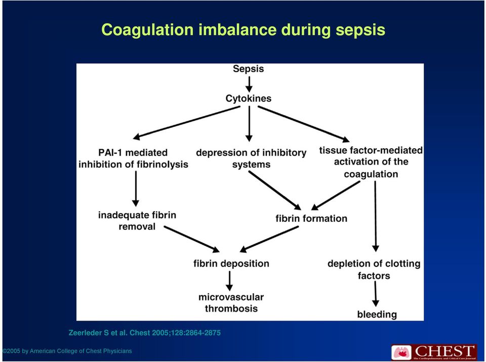 Chest 2005;128:2864-2875 2005