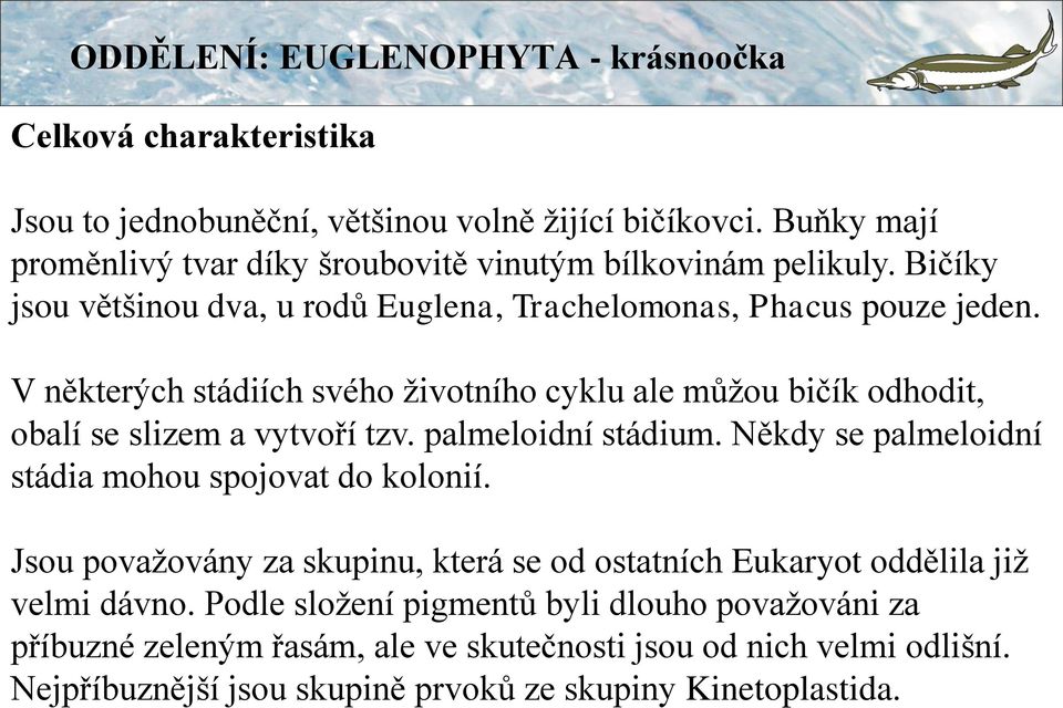 V některých stádiích svého životního cyklu ale můžou bičík odhodit, obalí se slizem a vytvoří tzv. palmeloidní stádium.