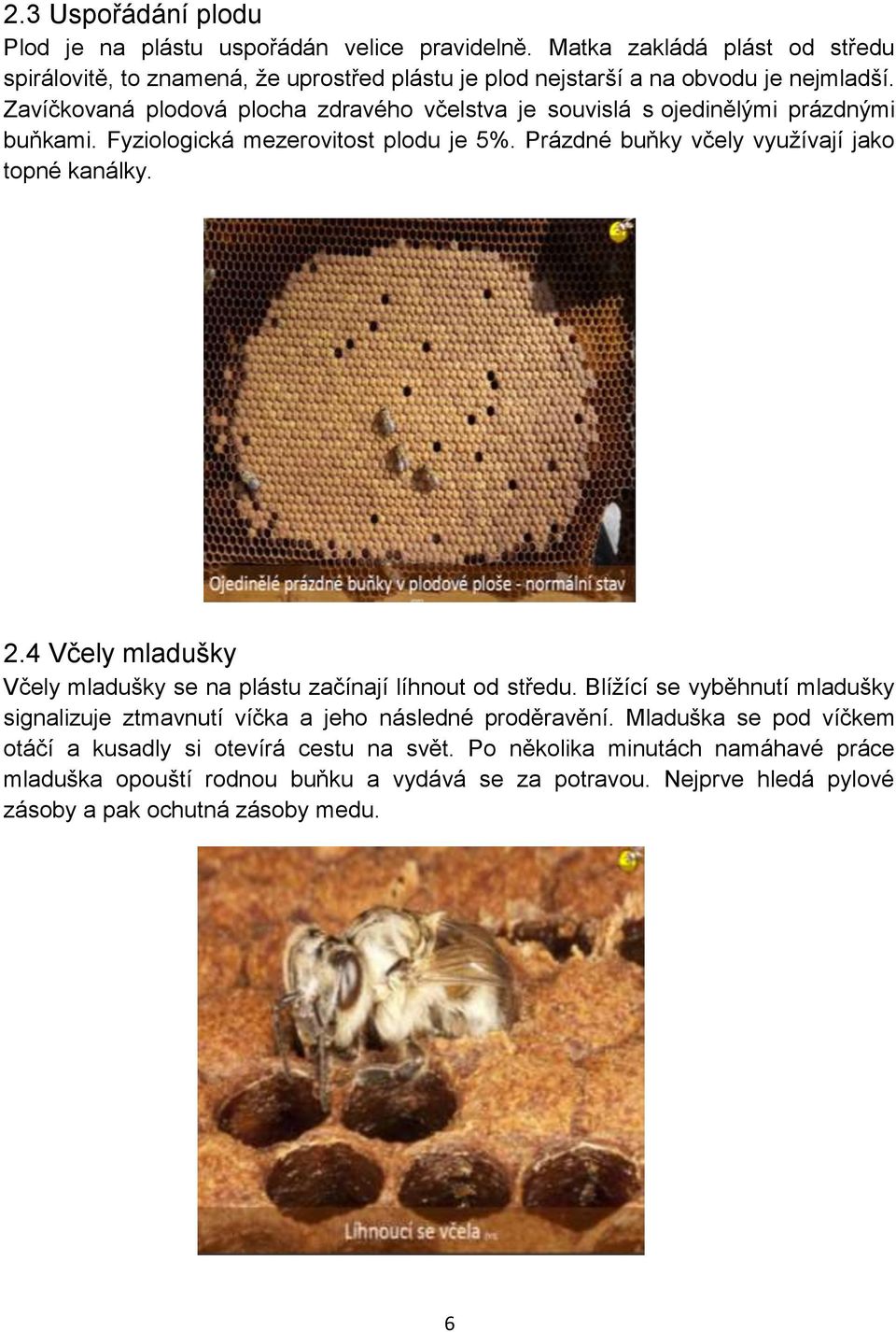 Zavíčkovaná plodová plocha zdravého včelstva je souvislá s ojedinělými prázdnými buňkami. Fyziologická mezerovitost plodu je 5%. Prázdné buňky včely využívají jako topné kanálky. 2.