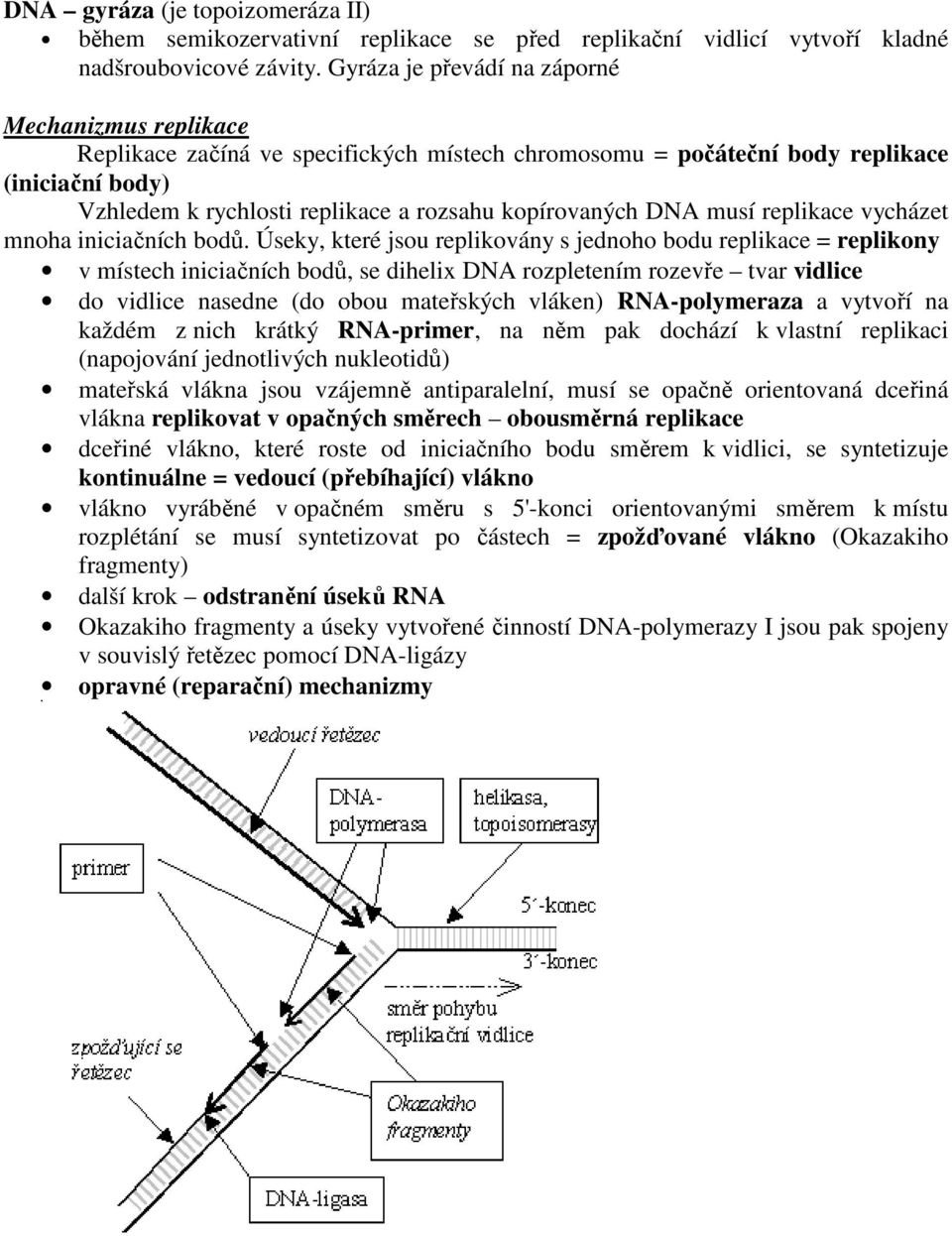 kopírovaných DNA musí replikace vycházet mnoha iniciačních bodů.