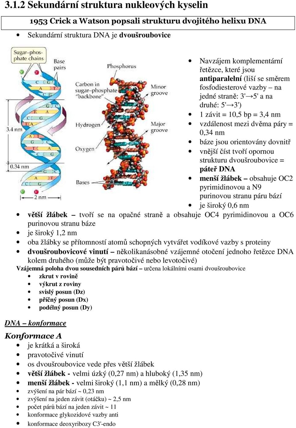 tvoří opornou strukturu dvoušroubovice = páteř DNA menší žlábek obsahuje OC2 pyrimidinovou a N9 purinovou stranu páru bází je široký 0,6 nm větší žlábek tvoří se na opačné straně a obsahuje OC4