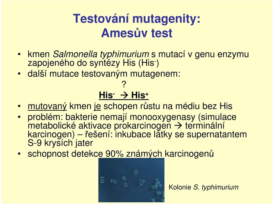 His - His + mutovaný kmen je schopen růstu na médiu bez His problém: bakterie nemají monooxygenasy (simulace