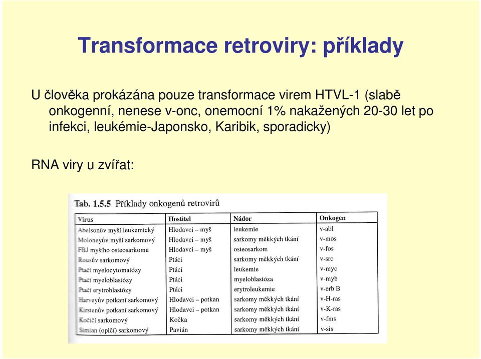 nenese v-onc, onemocní 1% nakažených 20-30 let po