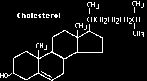 Cholesterol Jen v živočišných buňkách Snižuje tekutost a propustnost membrán, zpevňuje dvojnou vrtsvu