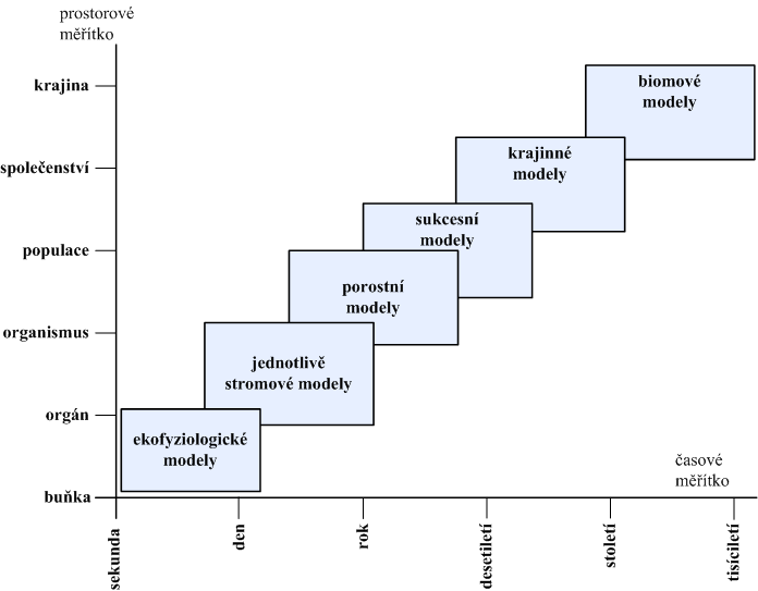 Dělení modelů z hlediska časové a hierarchické struktury Zdroj: PRETZSCH, H.