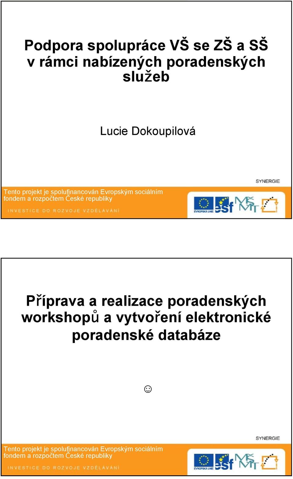 Dokoupilová Příprava a realizace