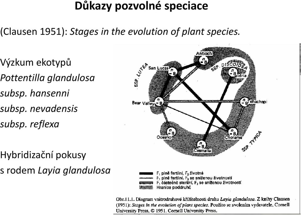 Výzkum ekotypů Pottentilla glandulosa subsp.