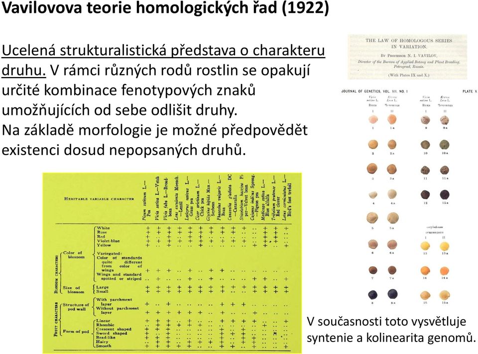 V rámci různých rodů rostlin se opakují určité kombinace fenotypových znaků