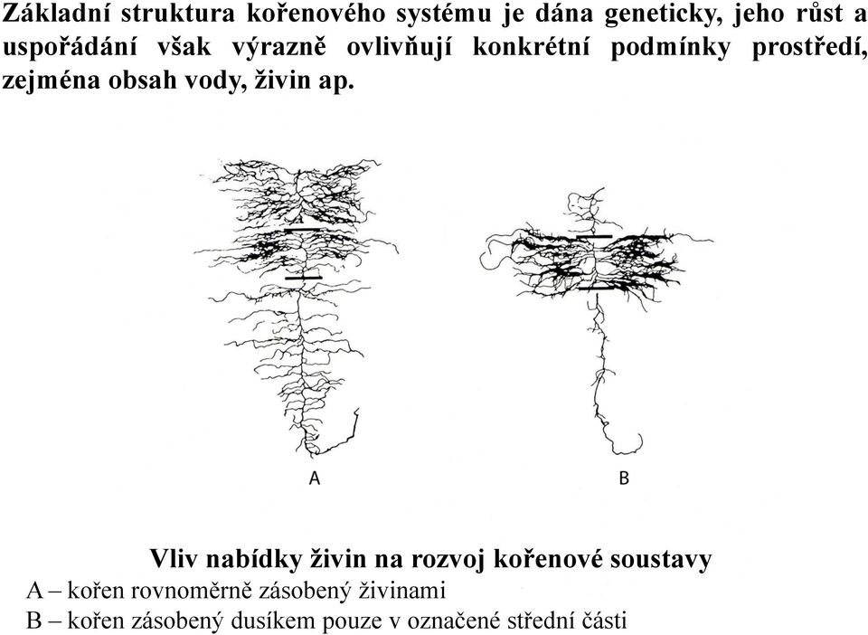 obsah vody, živin ap.