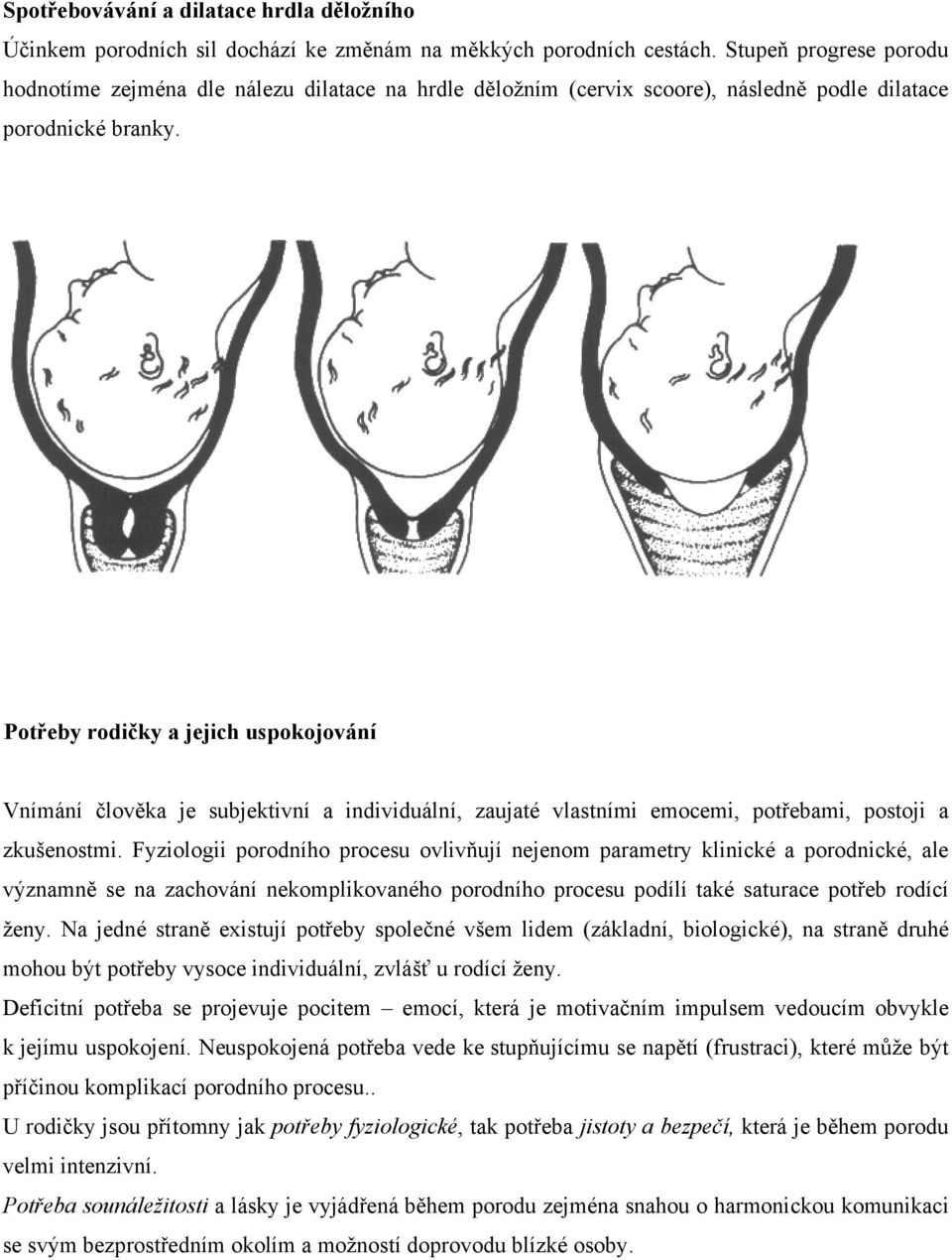 Potřeby rodičky a jejich uspokojování Vnímání člověka je subjektivní a individuální, zaujaté vlastními emocemi, potřebami, postoji a zkušenostmi.