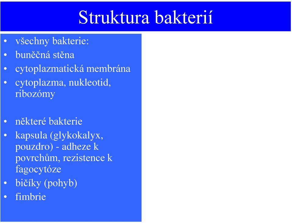 bakterie kapsula (glykokalyx, pouzdro) - adheze k