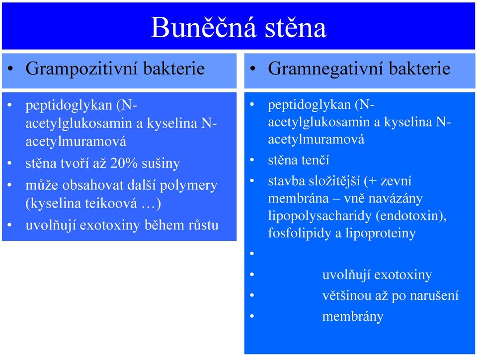 peptidoglykan (Nacetylglukosamin a kyselina N- acetylmuramová stěna tenčí stavba složitější (+ zevní membrána vně