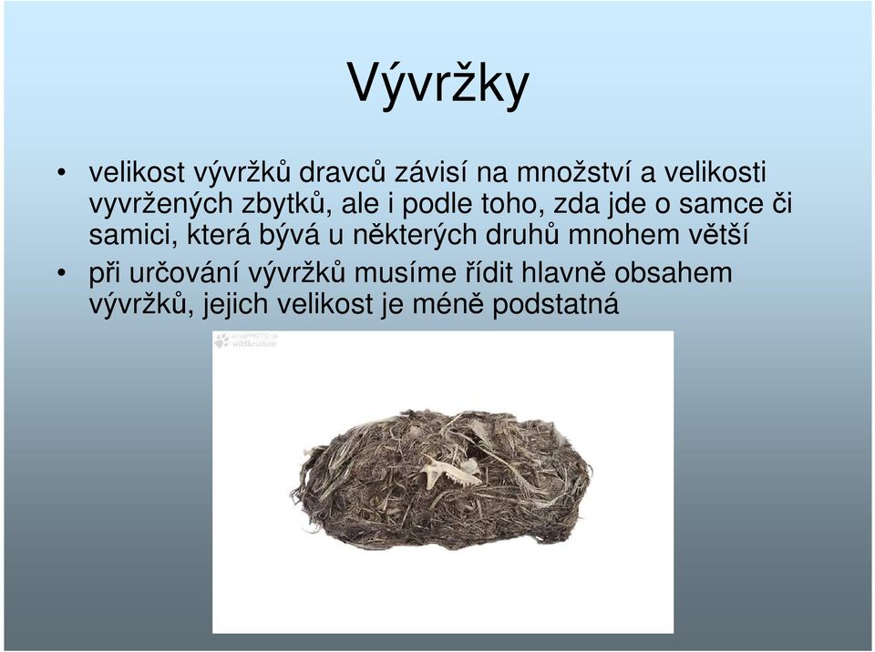 která bývá u některých druhů mnohem větší při určování vývržků