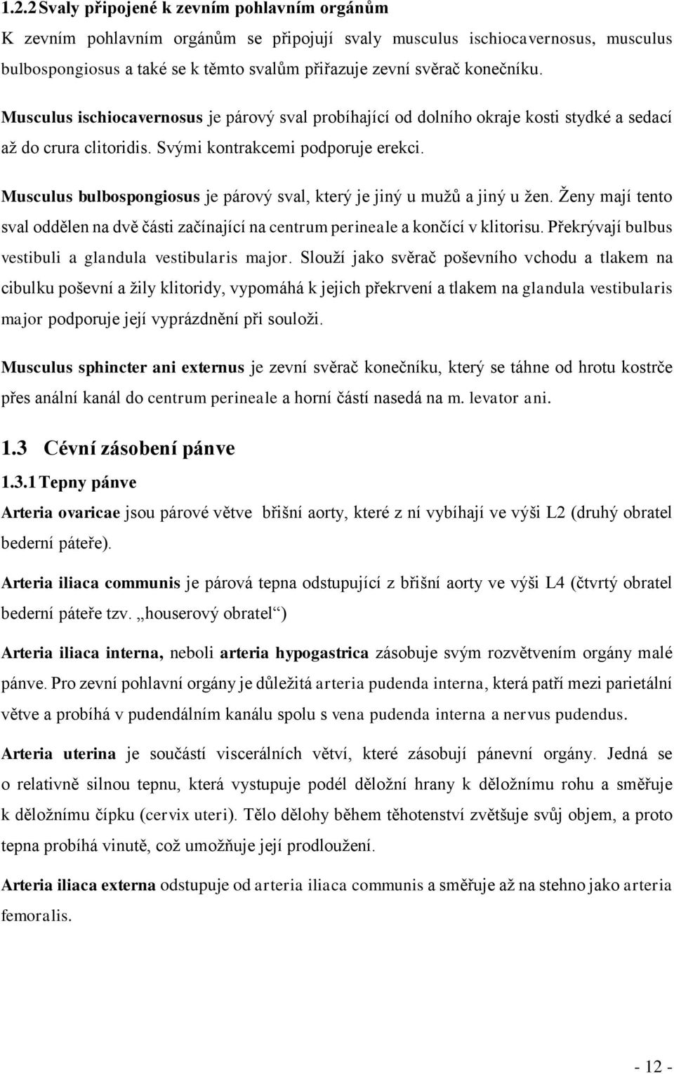 Musculus bulbospongiosus je párový sval, který je jiný u mužů a jiný u žen. Ženy mají tento sval oddělen na dvě části začínající na centrum perineale a končící v klitorisu.