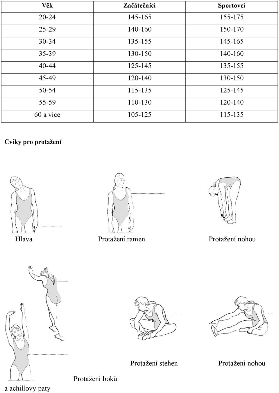 125-145 55-59 110-130 120-140 60 a více 105-125 115-135 Cviky pro protažení Hlava