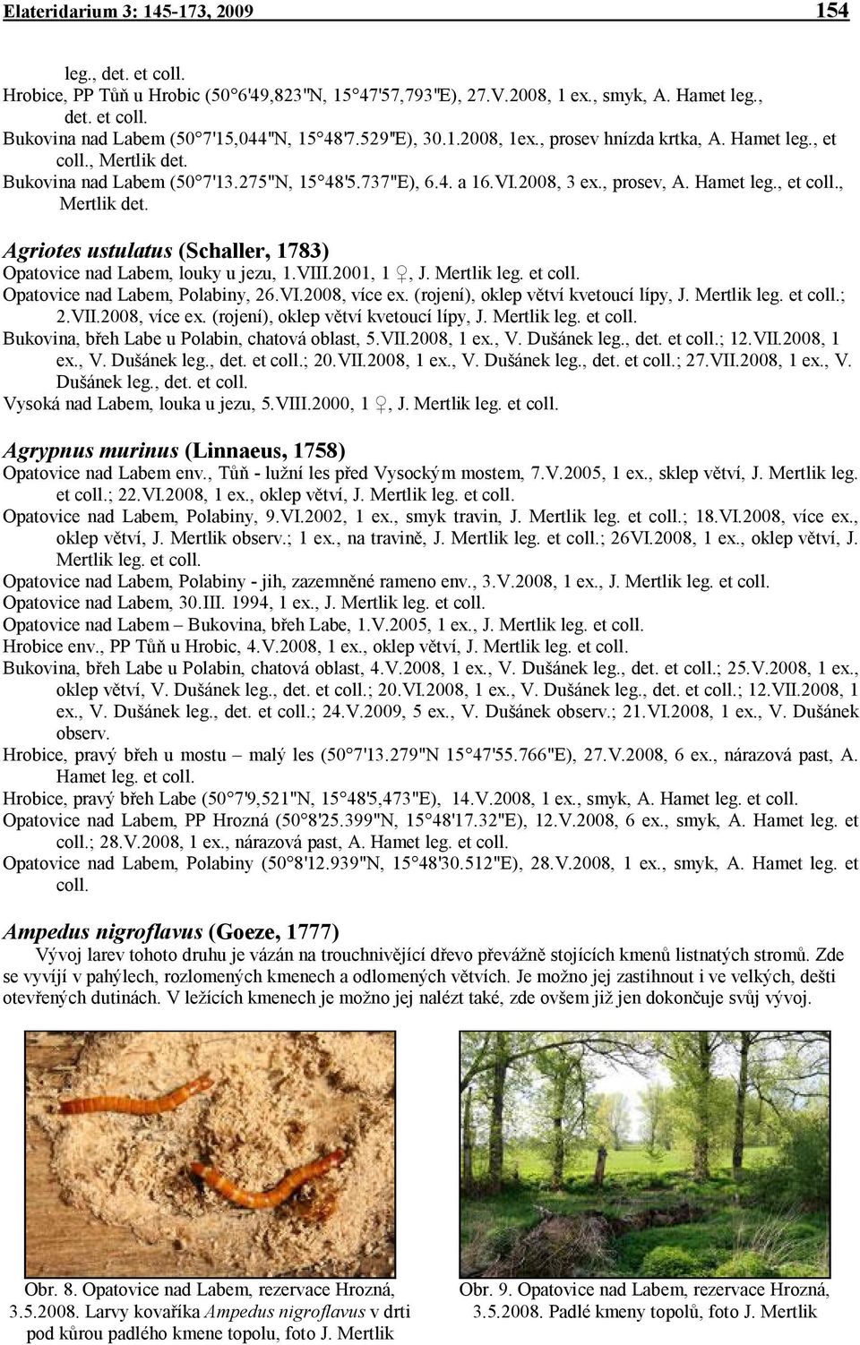 VIII.2001, 1, J. Mertlik leg. et coll. Opatovice nad Labem, Polabiny, 26.VI.2008, více ex. (rojení), oklep větví kvetoucí lípy, J. Mertlik leg. et coll.; 2.VII.2008, více ex. (rojení), oklep větví kvetoucí lípy, J. Mertlik leg. et coll. Bukovina, břeh Labe u Polabin, chatová oblast, 5.