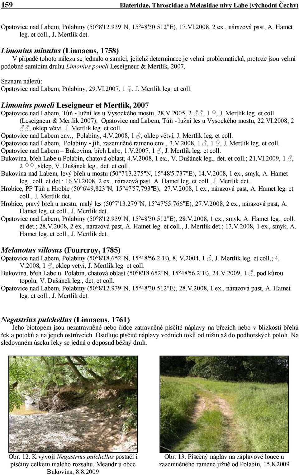 Limonius minutus (Linnaeus, 1758) V případě tohoto nálezu se jednalo o samici, jejichž determinace je velmi problematická, protože jsou velmi podobné samicím druhu Limonius poneli Leseigneur &