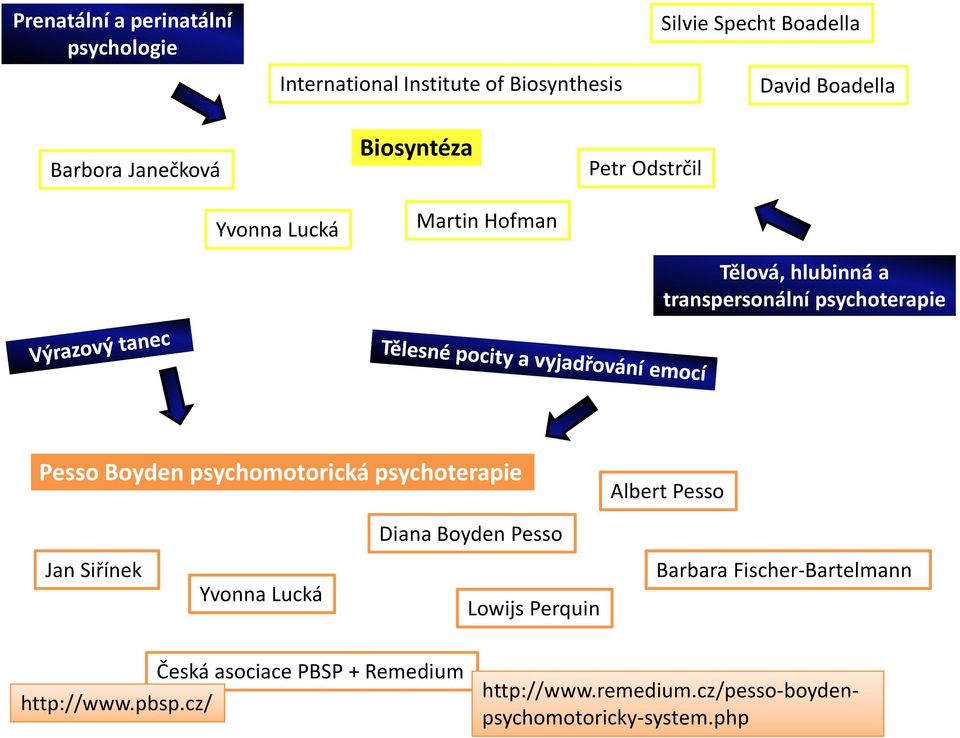 Pesso Boyden psychomotorická psychoterapie Albert Pesso Diana Boyden Pesso Jan Siřínek Yvonna Lucká Lowijs Perquin