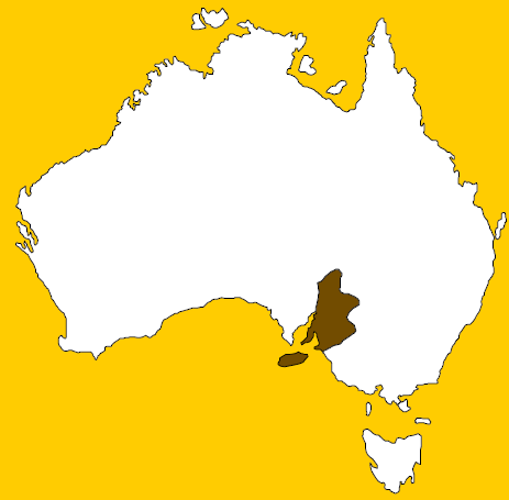 Hrásťové pohoří složené ze žul, rul a staropaleozoických hornin, kerné pohyby i ve třetihorách má poledníkový směr nejvyšší částí je na severu ležící pohoří Flindersovo (Flinders Ranges) s nejvyšším