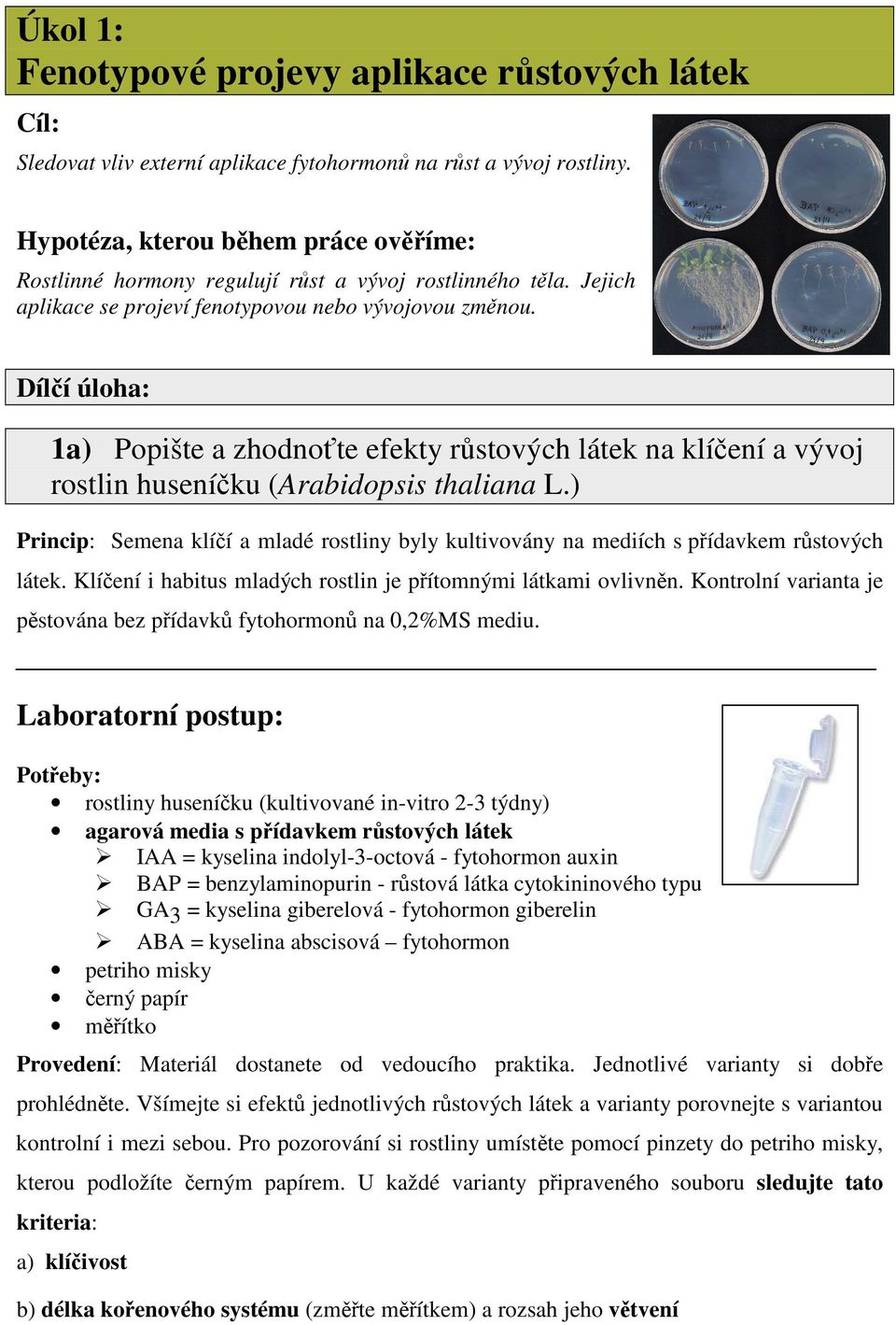 Dílí úloha: 1a) Popište a zhodnote efekty rstových látek na klíení a vývoj rostlin huseníku (Arabidopsis thaliana L.