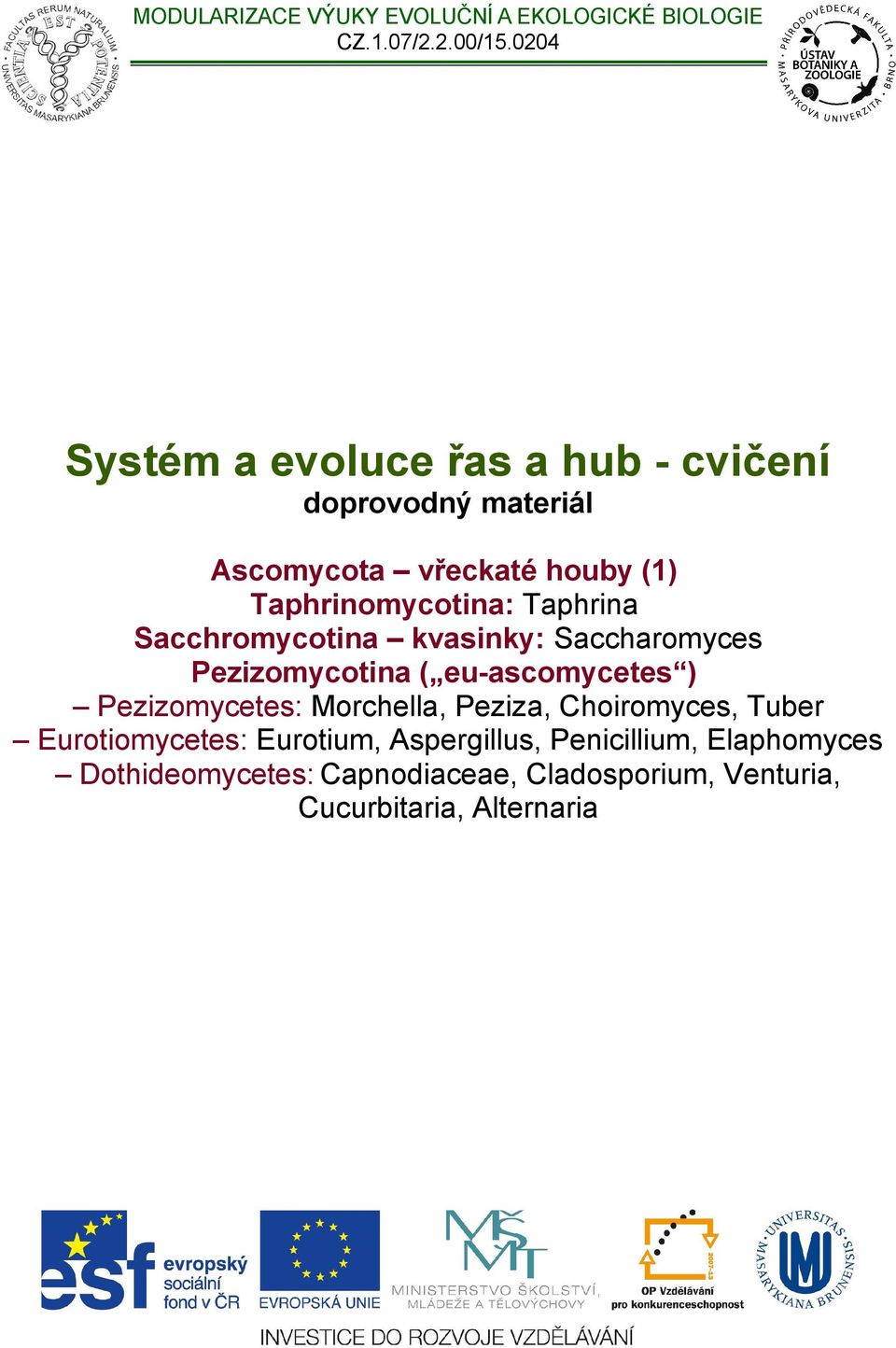 Taphrina Sacchromycotina kvasinky: Saccharomyces Pezizomycotina ( eu-ascomycetes ) Pezizomycetes: Morchella,