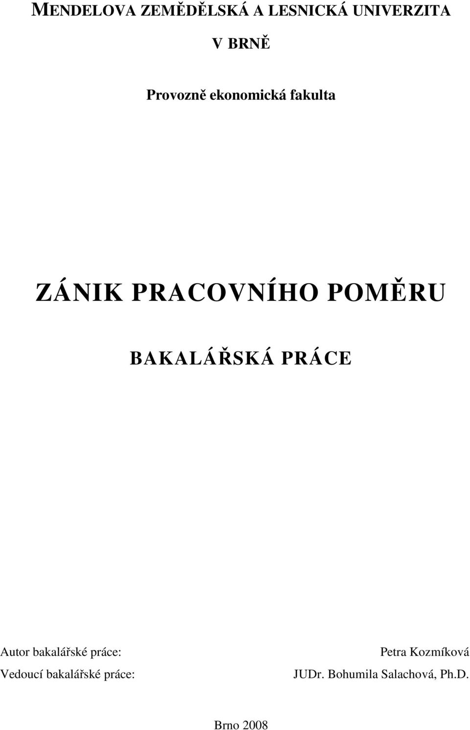 BAKALÁŘSKÁ PRÁCE Autor bakalářské práce: Vedoucí