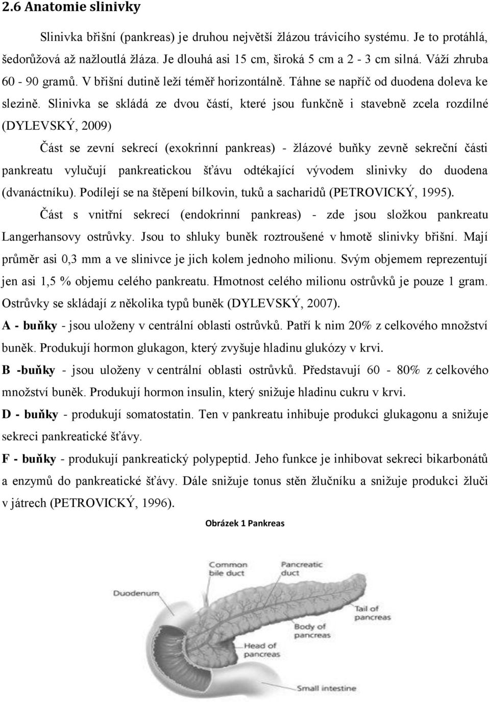 Slinivka se skládá ze dvou částí, které jsou funkčně i stavebně zcela rozdílné (DYLEVSKÝ, 2009) Část se zevní sekrecí (exokrinní pankreas) - žlázové buňky zevně sekreční části pankreatu vylučují