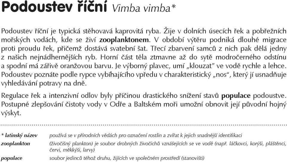 Horní část těla ztmavne až do sytě modročerného odstínu a spodní má zářivě oranžovou barvu. Je výborný plavec, umí klouzat ve vodě rychle a lehce.