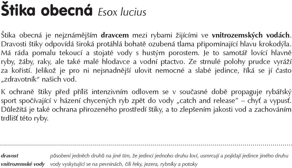 Jelikož je pro ni nejsnadnější ulovit nemocné a slabé jedince, říká se jí často zdravotník našich vod.