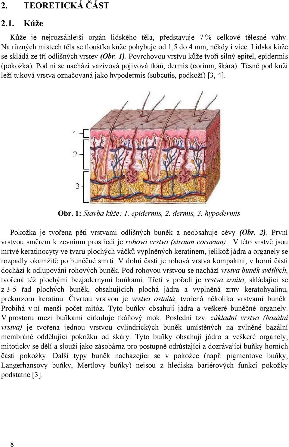 Těsně pod kůží leží tuková vrstva označovaná jako hypodermis (subcutis, podkoží) [3, 4]. Obr. 1: Stavba kůže: 1. epidermis, 2. dermis, 3.