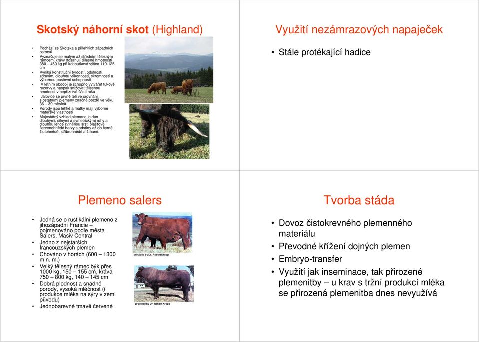 rezervy a naopak snižovat tělesnou hmotnost v nepříznivé části roku Jalovice se prvně telí ve srovnání s ostatními plemeny značně pozdě ve věku 36 39 měsíců.