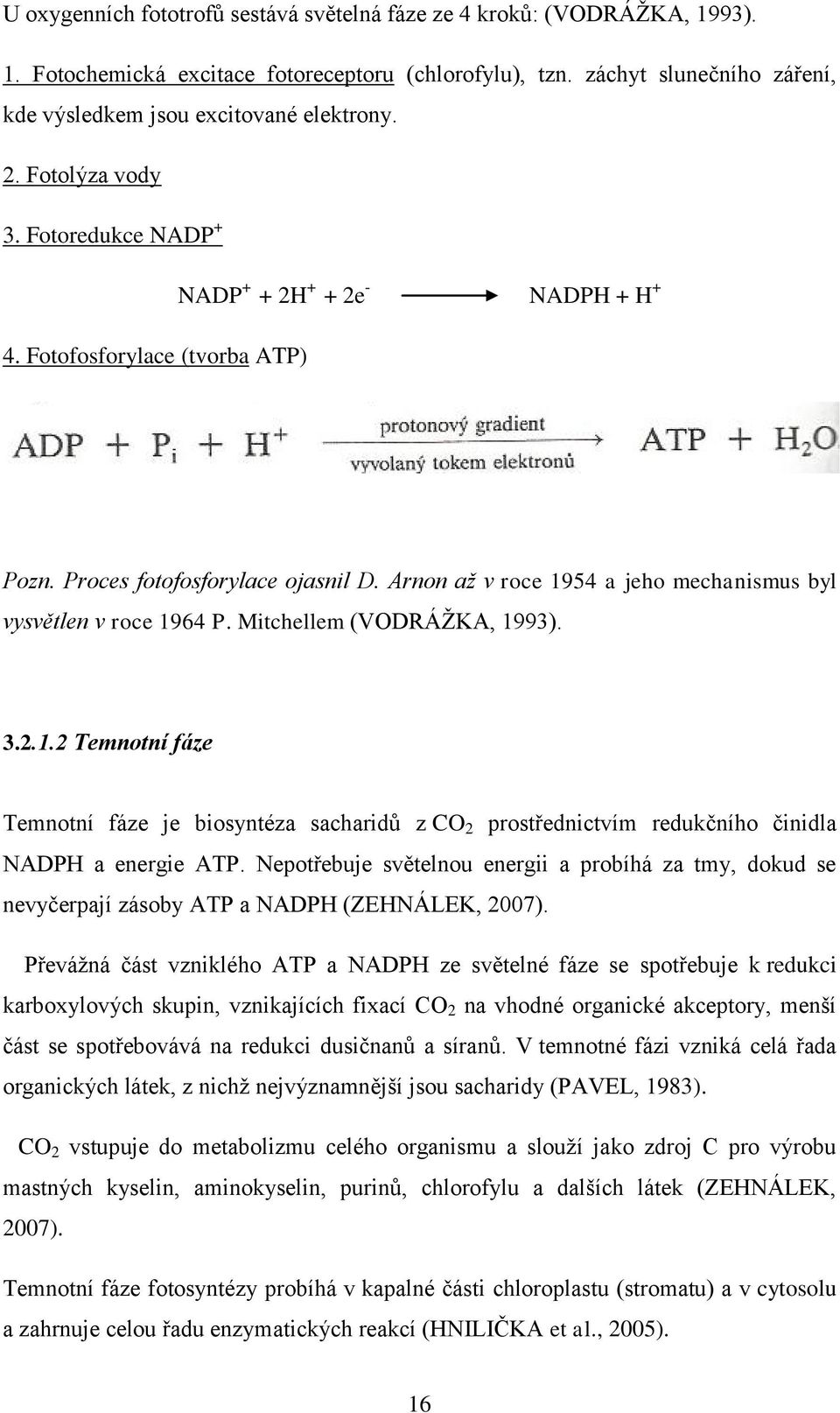 Arnon až v roce 1954 a jeho mechanismus byl vysvětlen v roce 1964 P. Mitchellem (VODRÁŽKA, 1993). 3.2.1.2 Temnotní fáze Temnotní fáze je biosyntéza sacharidů z CO 2 prostřednictvím redukčního činidla NADPH a energie ATP.