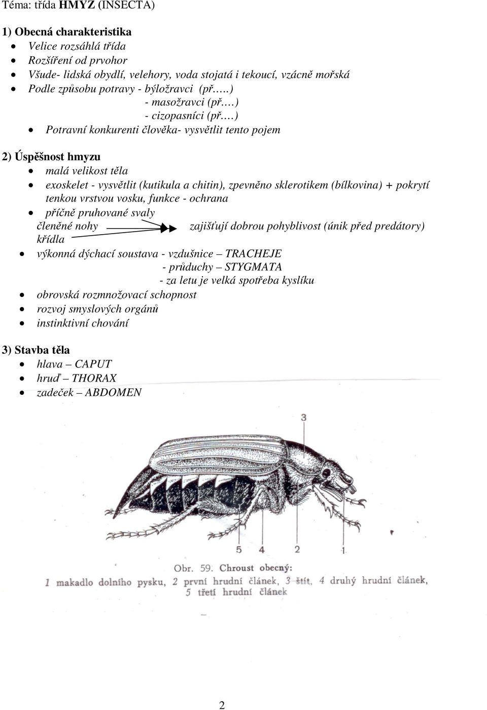 ) Potravní konkurenti lovka- vysvtlit tento pojem 2) Úspšnost hmyzu malá velikost tla exoskelet - vysvtlit (kutikula a chitin), zpevnno sklerotikem (bílkovina) + pokrytí tenkou vrstvou