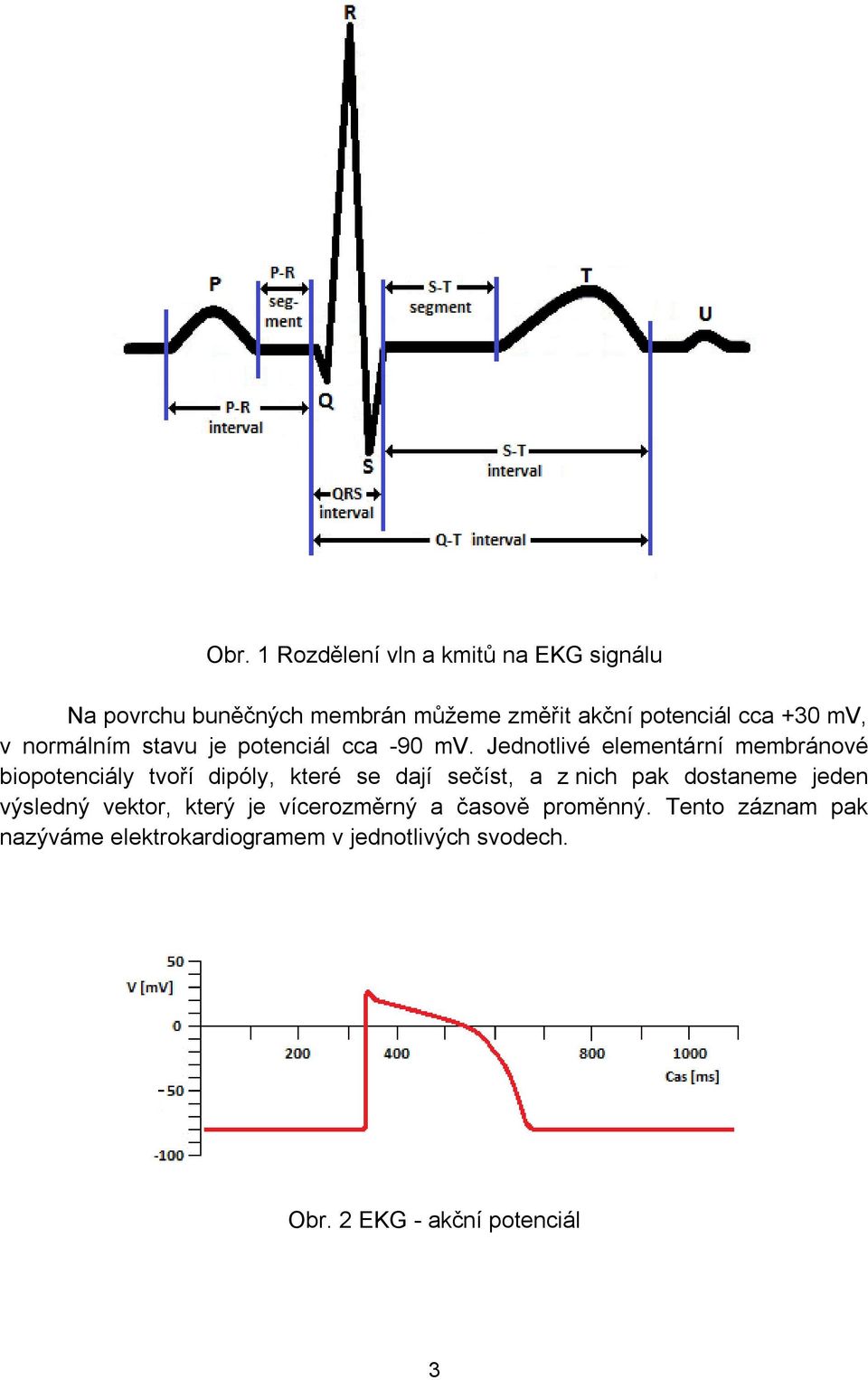 Jednotlivé elementární membránové biopotenciály tvoří dipóly, které se dají sečíst, a z nich pak dostaneme