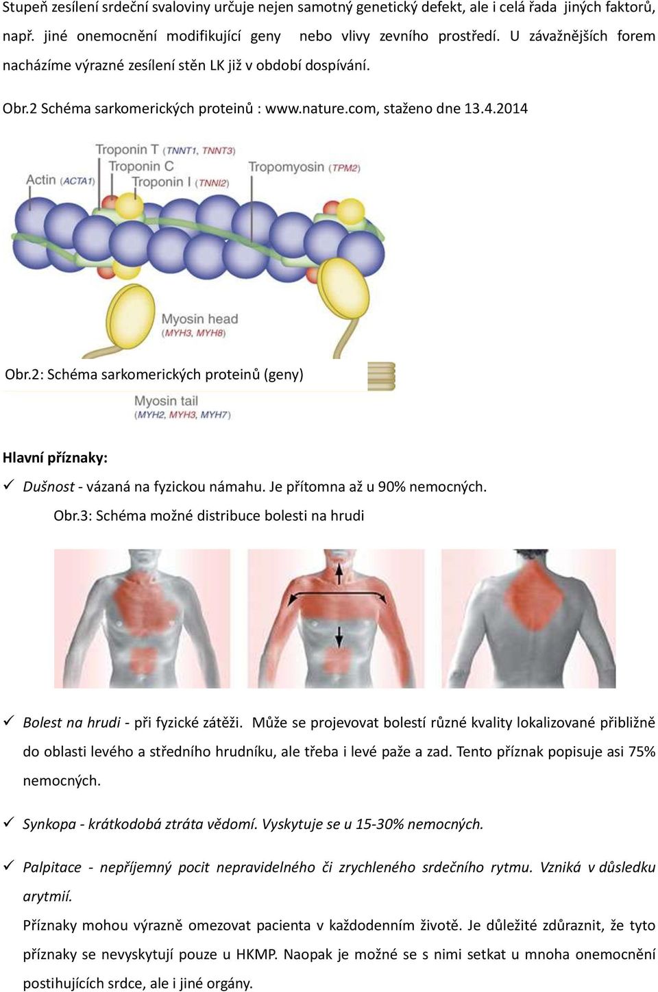 2: Schéma sarkomerických proteinů (geny) Hlavní příznaky: Dušnost - vázaná na fyzickou námahu. Je přítomna až u 90% nemocných. Obr.