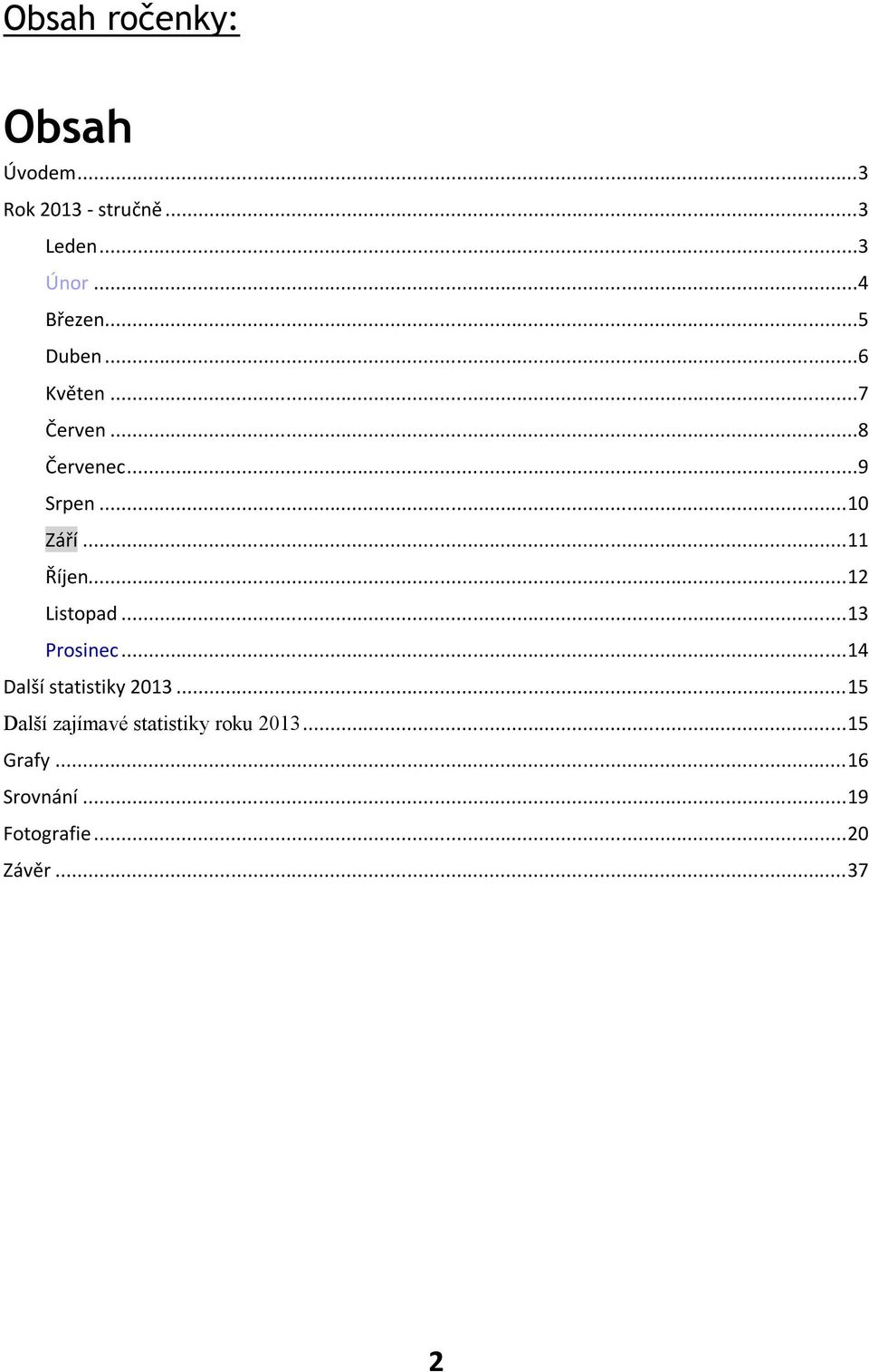 .. 12 Listopad... 13 Prosinec... 14 Další statistiky 2013.