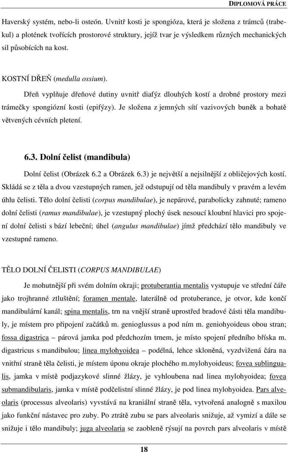 KOSTNÍ DŘEŇ (medulla ossium). Dřeň vyplňuje dřeňové dutiny uvnitř diafýz dlouhých kostí a drobné prostory mezi trámečky spongiózní kosti (epifýzy).