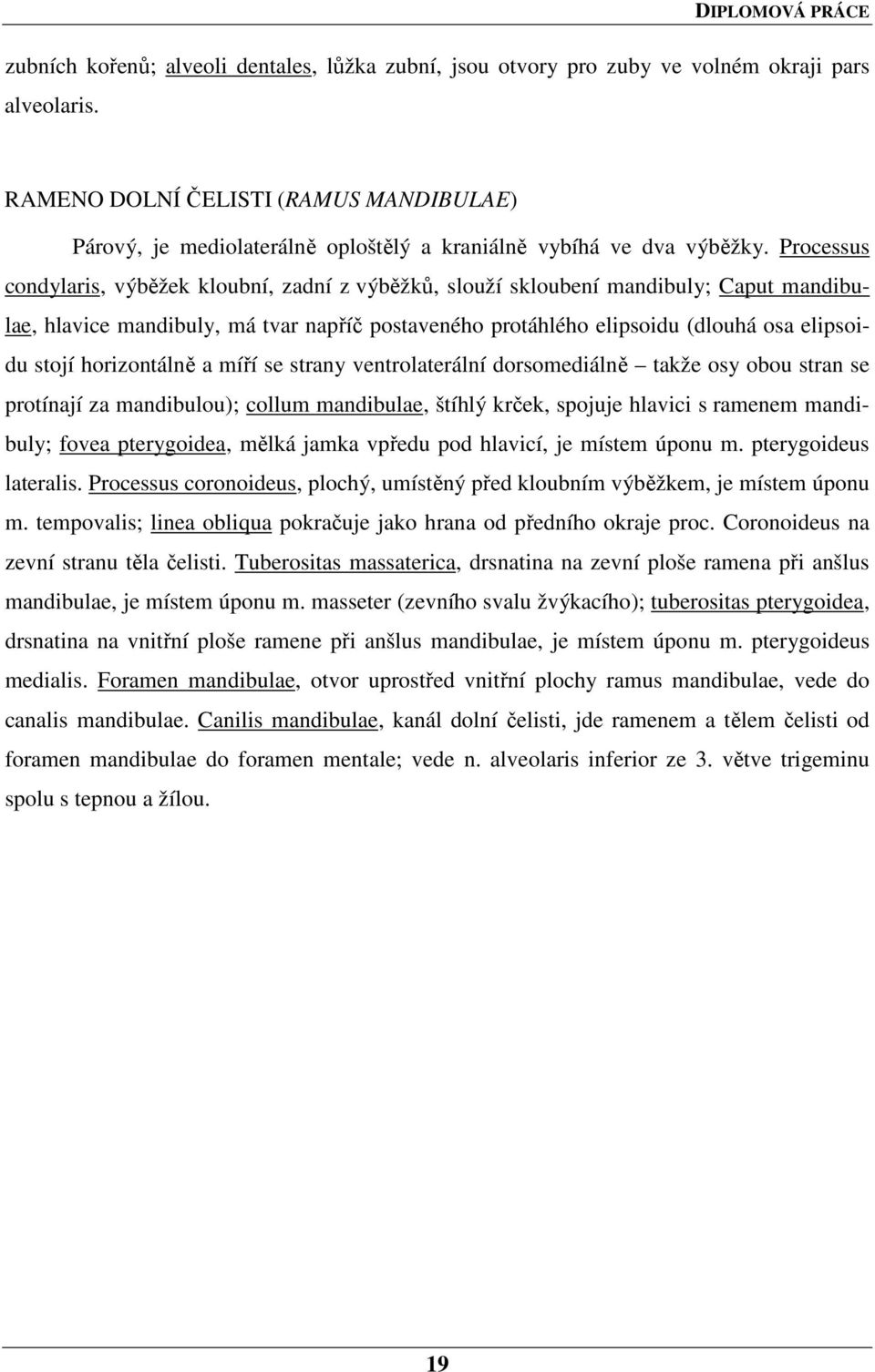 Processus condylaris, výběžek kloubní, zadní z výběžků, slouží skloubení mandibuly; Caput mandibulae, hlavice mandibuly, má tvar napříč postaveného protáhlého elipsoidu (dlouhá osa elipsoidu stojí